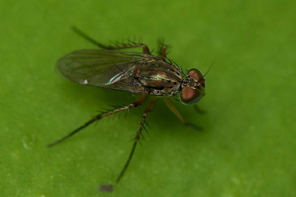 DSC_6234.jpg