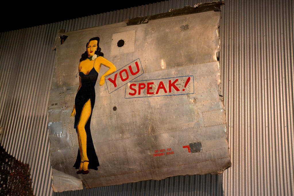 DSC_6237.jpg