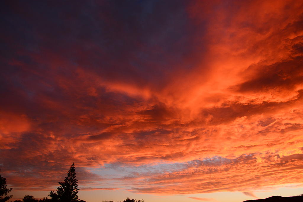 DSC_6239.jpg