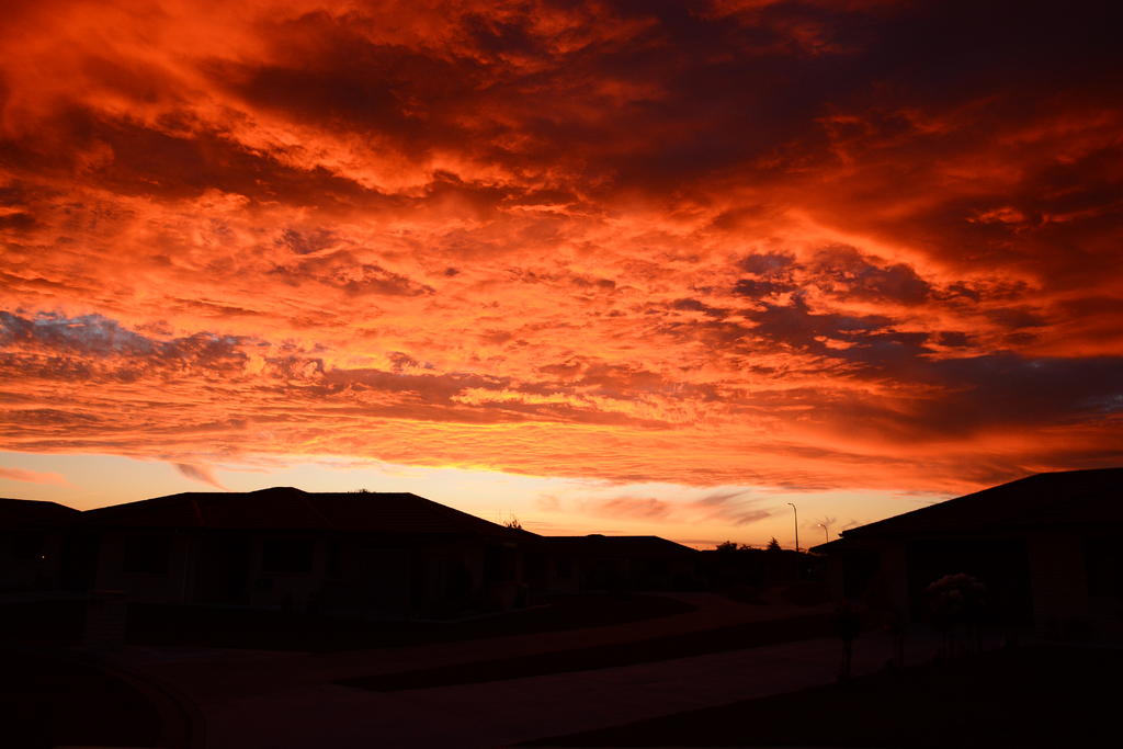 DSC_6242.jpg