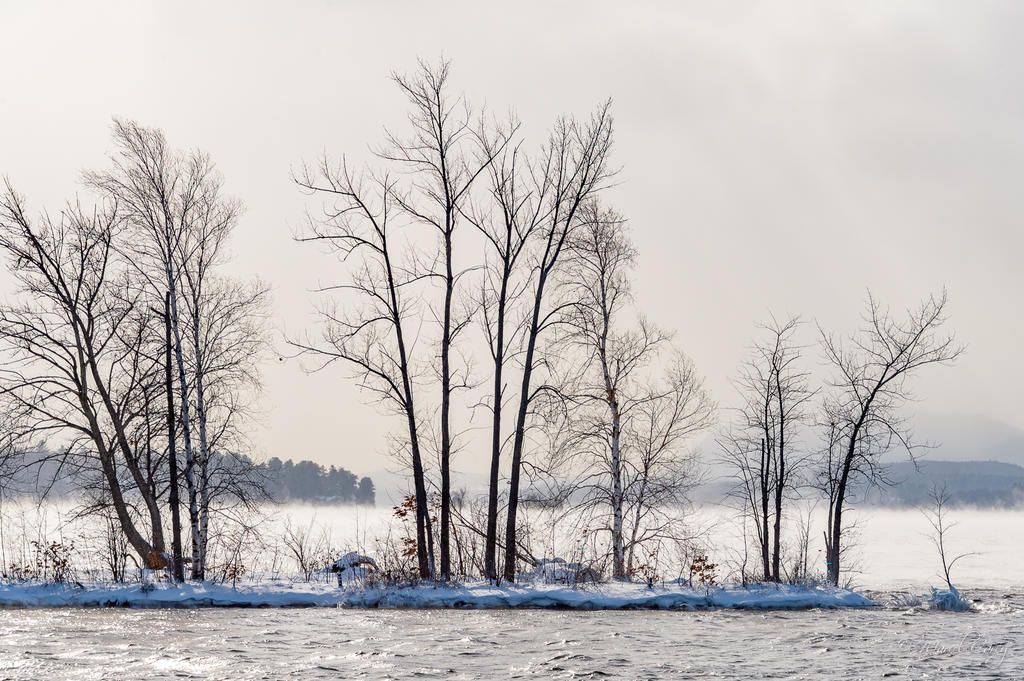 DSC_6243-2.jpg