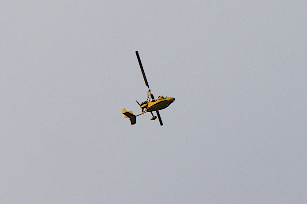 DSC_6243.jpg