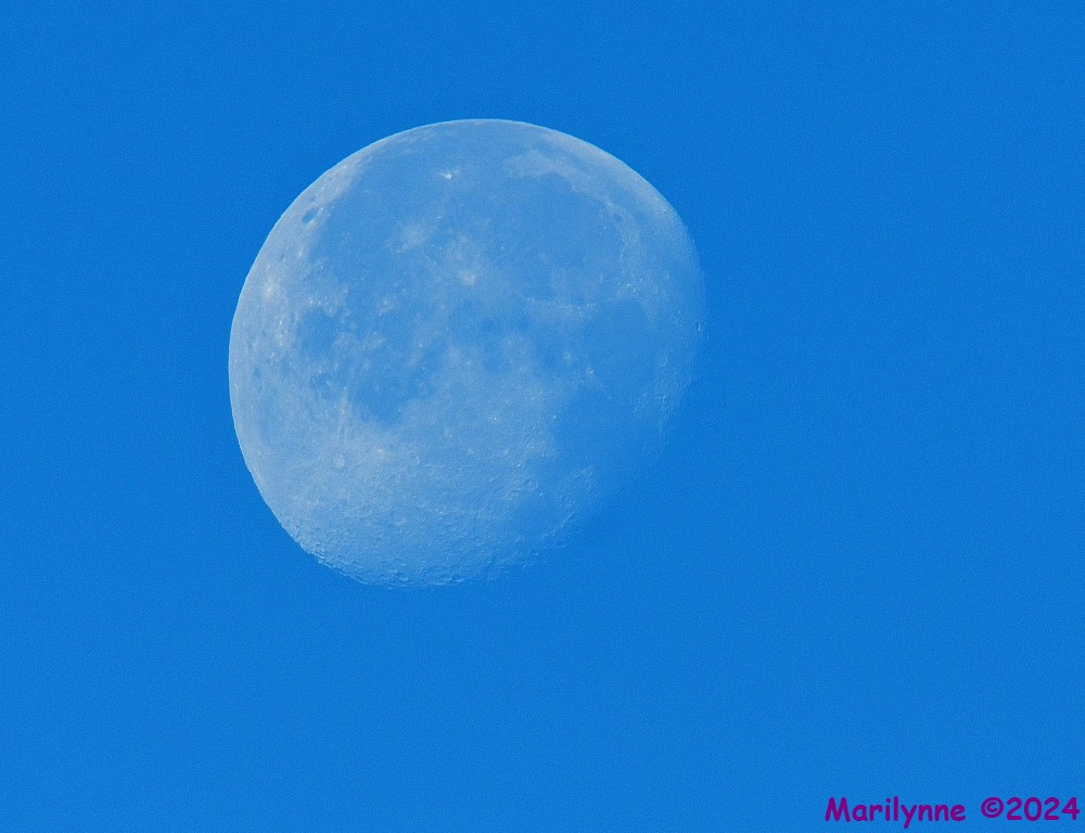 DSC_6249_001.JPG