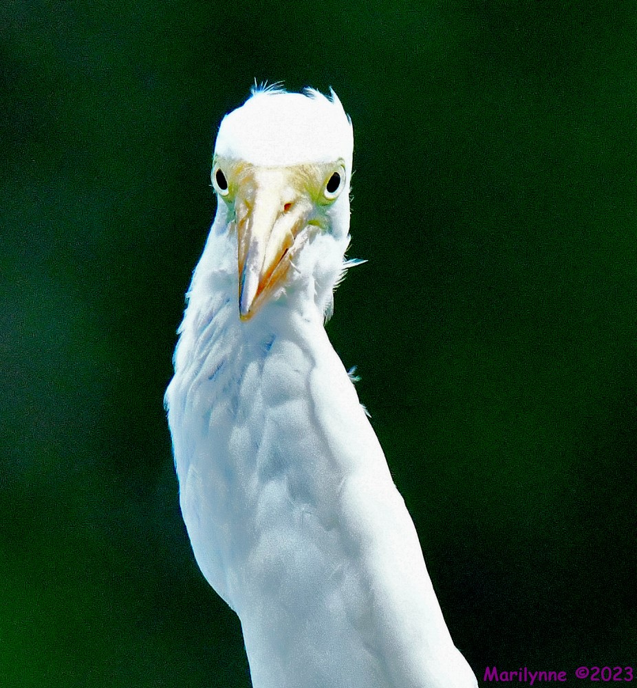 DSC_6250_001.JPG