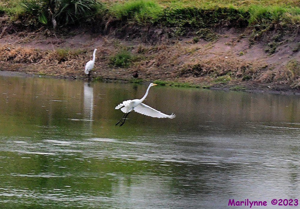 DSC_6259_001.JPG