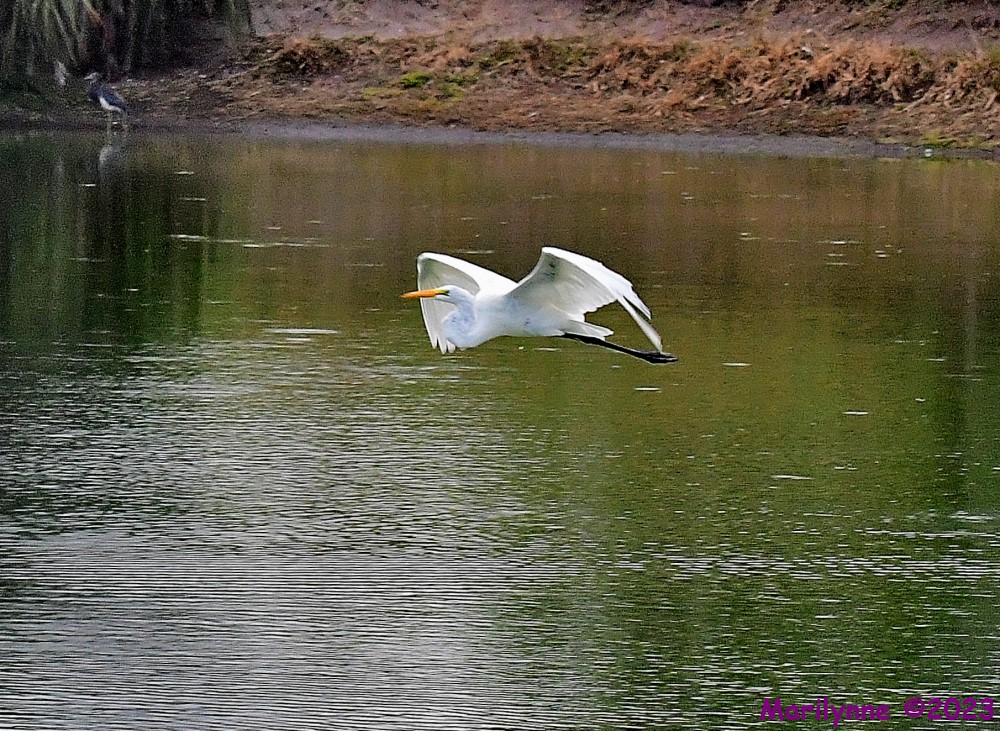 DSC_6265_001.JPG