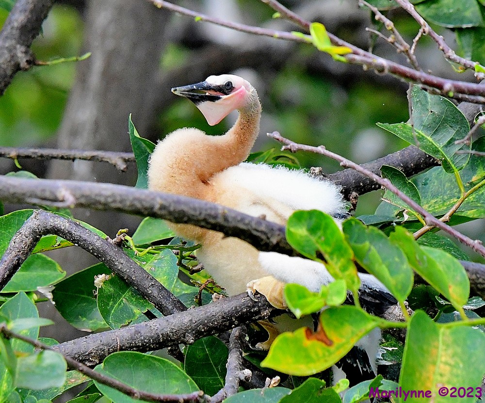 DSC_6270_001.JPG