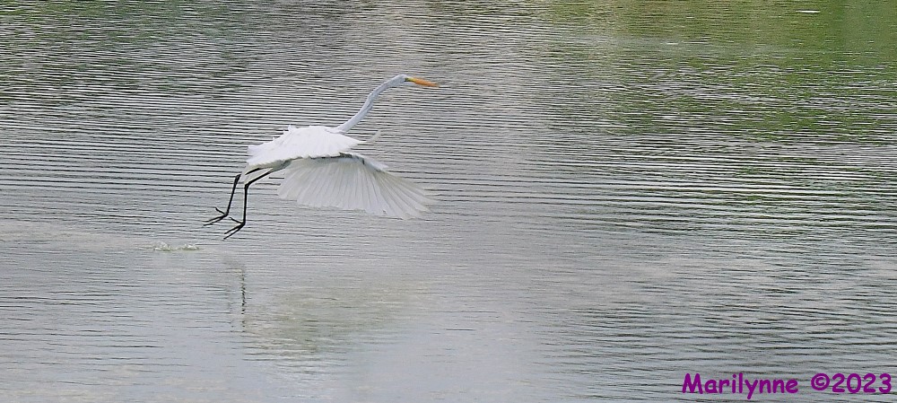 DSC_6282_001.JPG