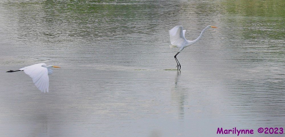 DSC_6283_001.JPG