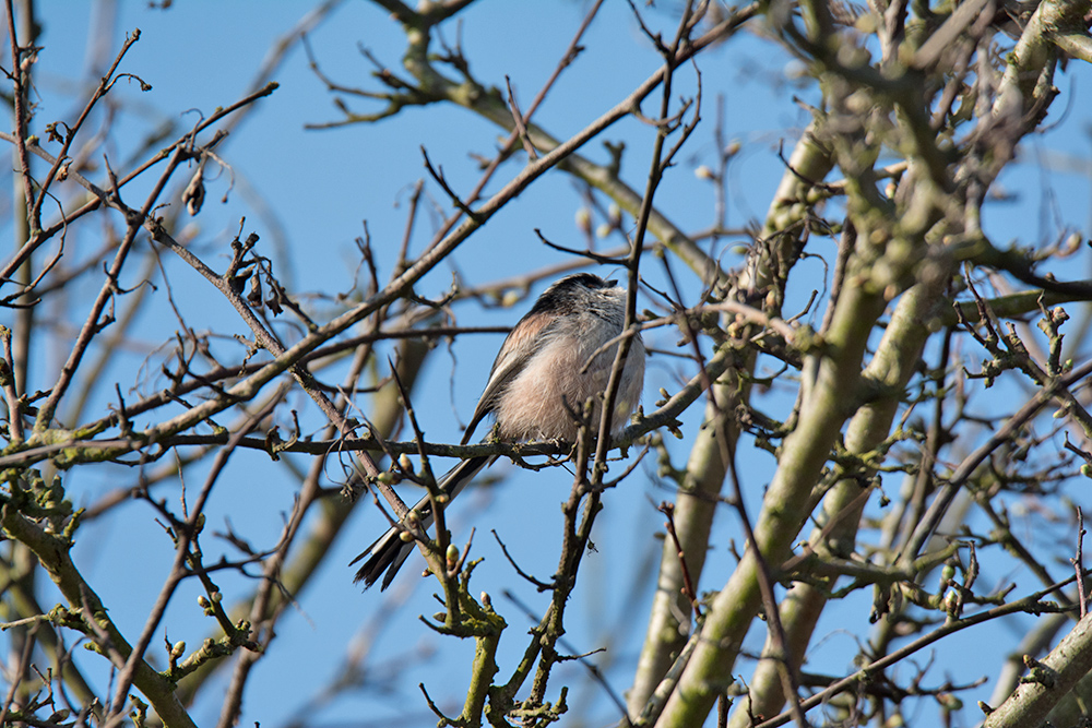 DSC_6289.jpg