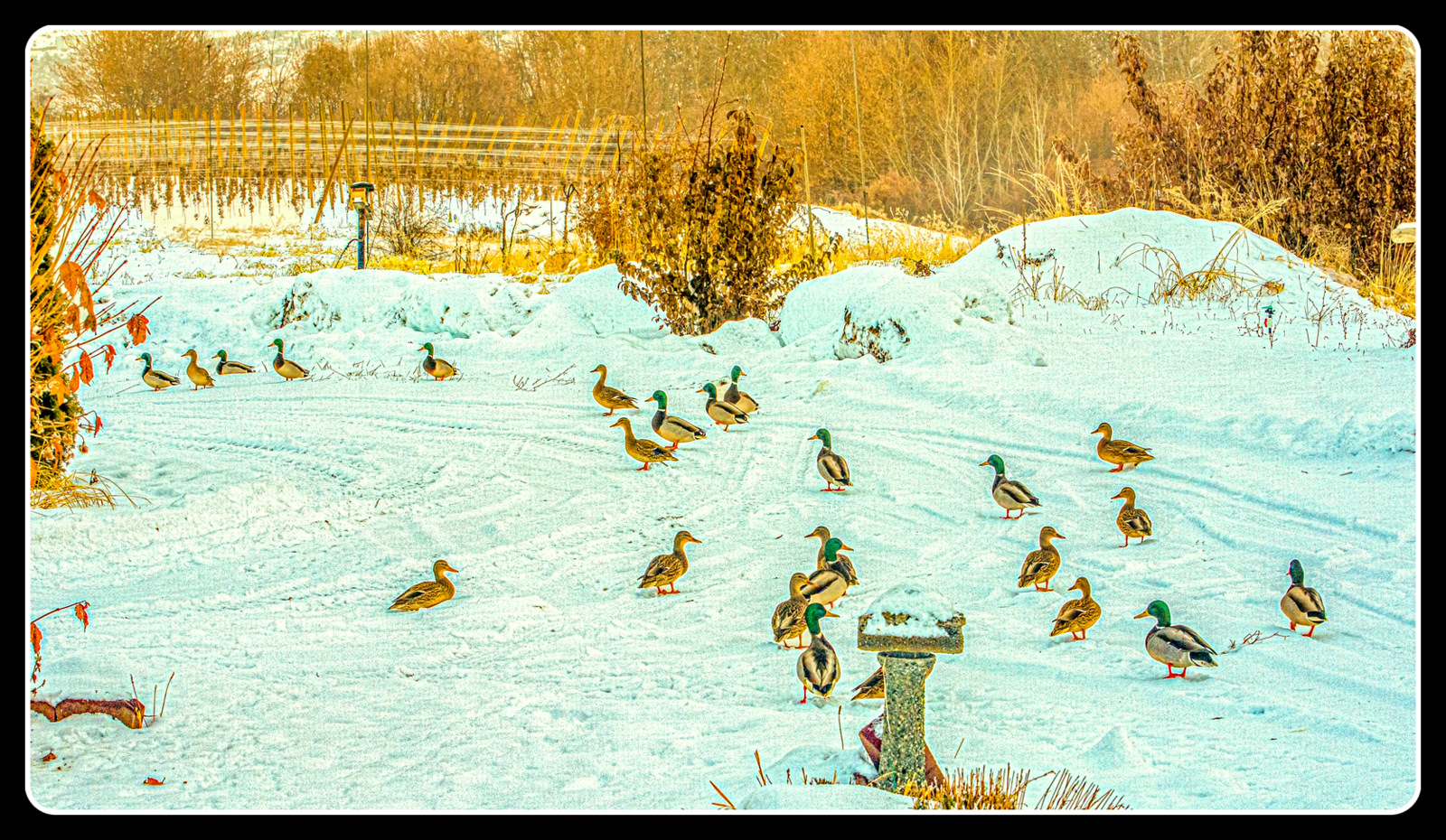DSC_6291-Edit-Edit.jpg