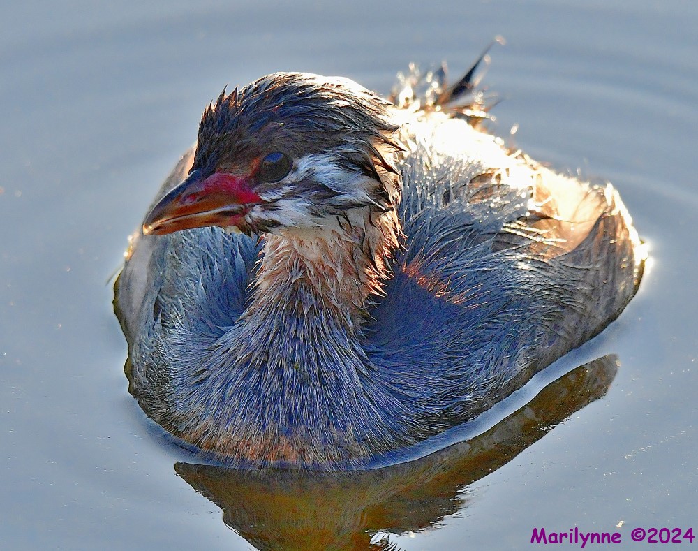 DSC_6293_001.JPG