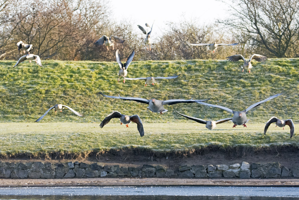 DSC_6298.jpg