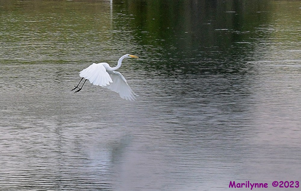 DSC_6298_001.JPG