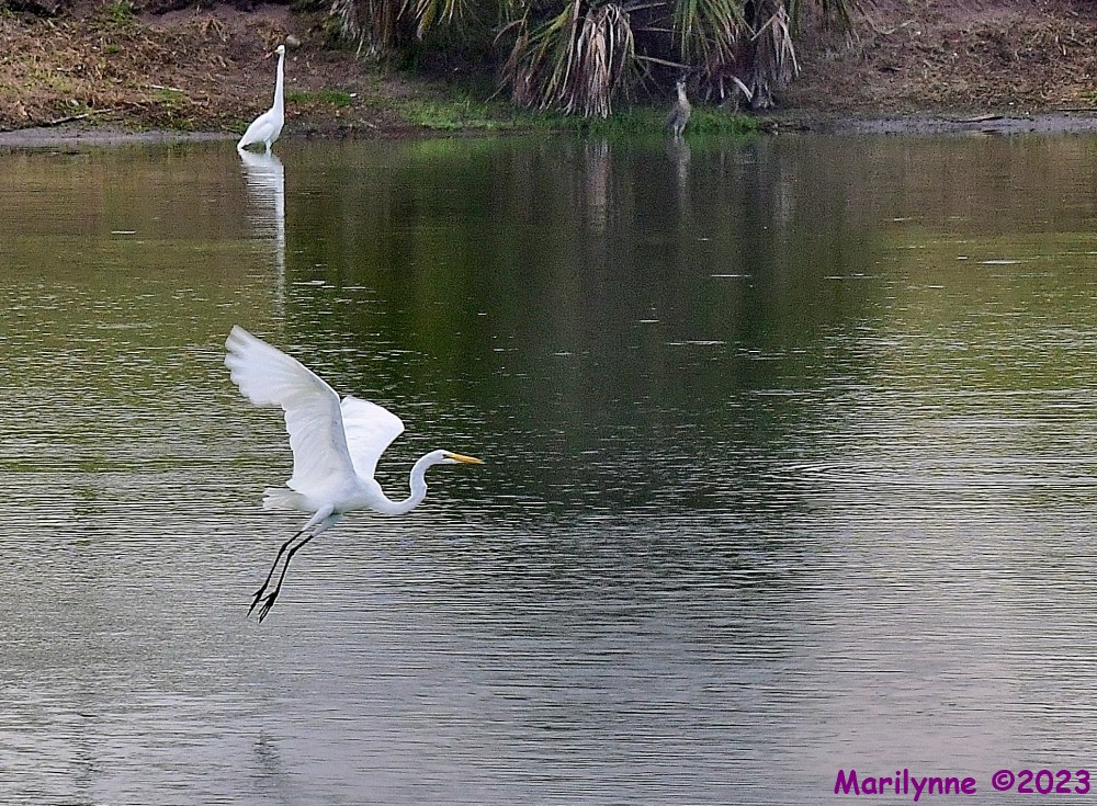 DSC_6299_001.JPG