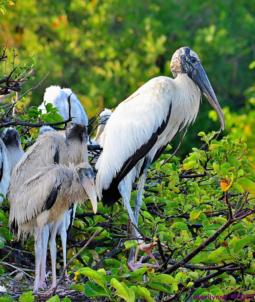 DSC_6300_001.JPG