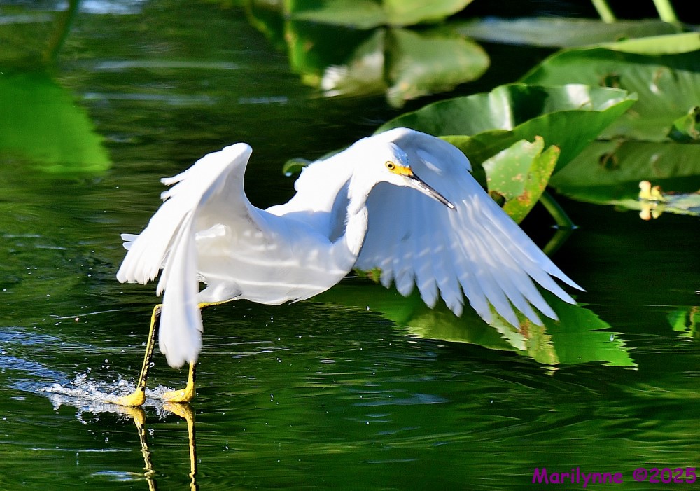 DSC_6304_001.JPG