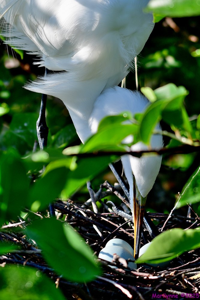 DSC_6313_001.JPG