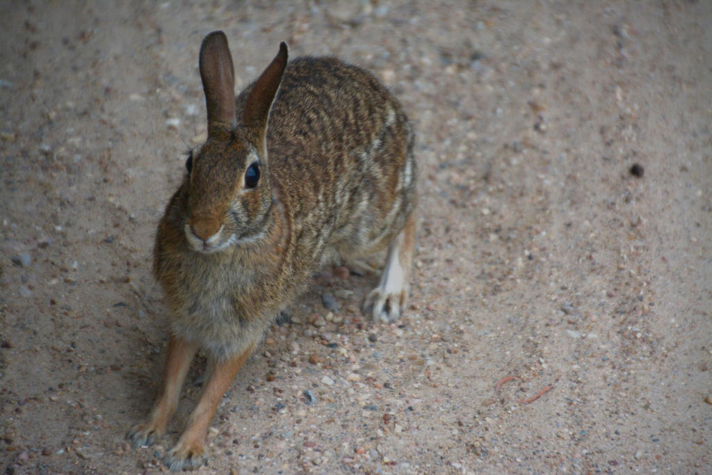 DSC_6317.jpg