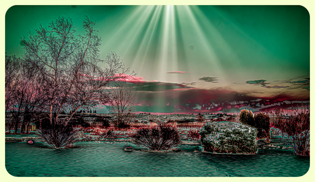 DSC_6325-Edit.JPG