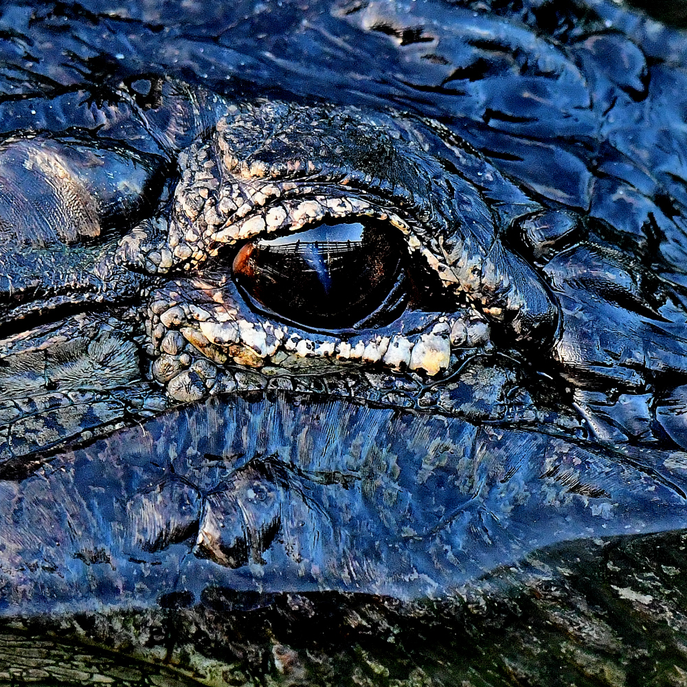DSC_6325_001.JPG