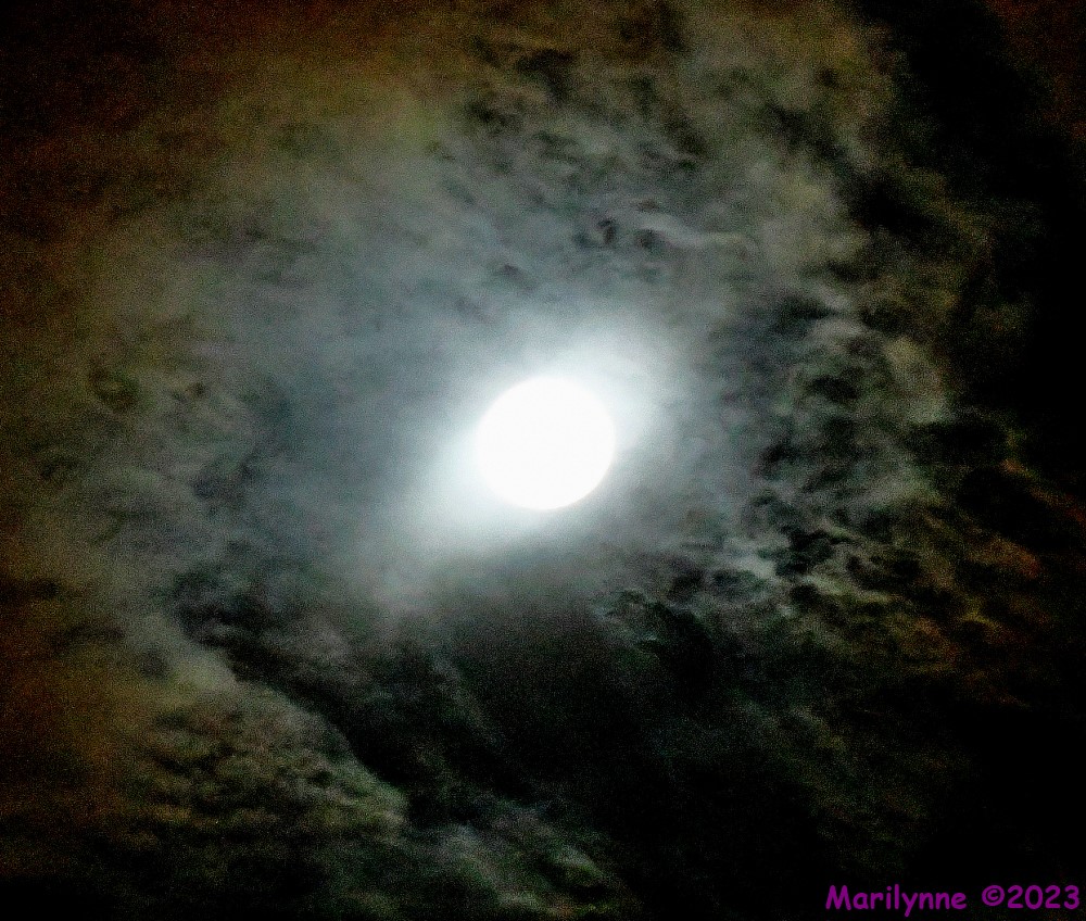 DSC_6329_001.JPG