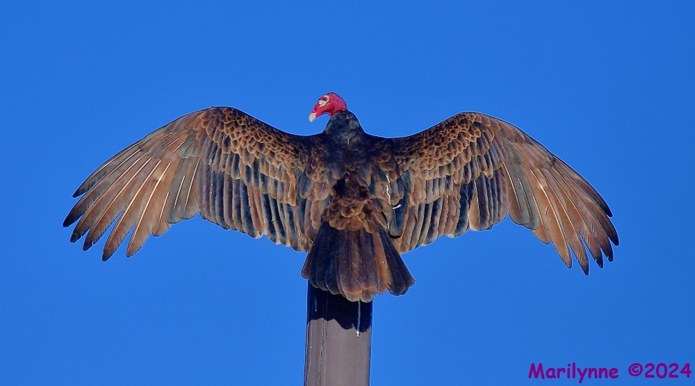 DSC_6329_001.JPG