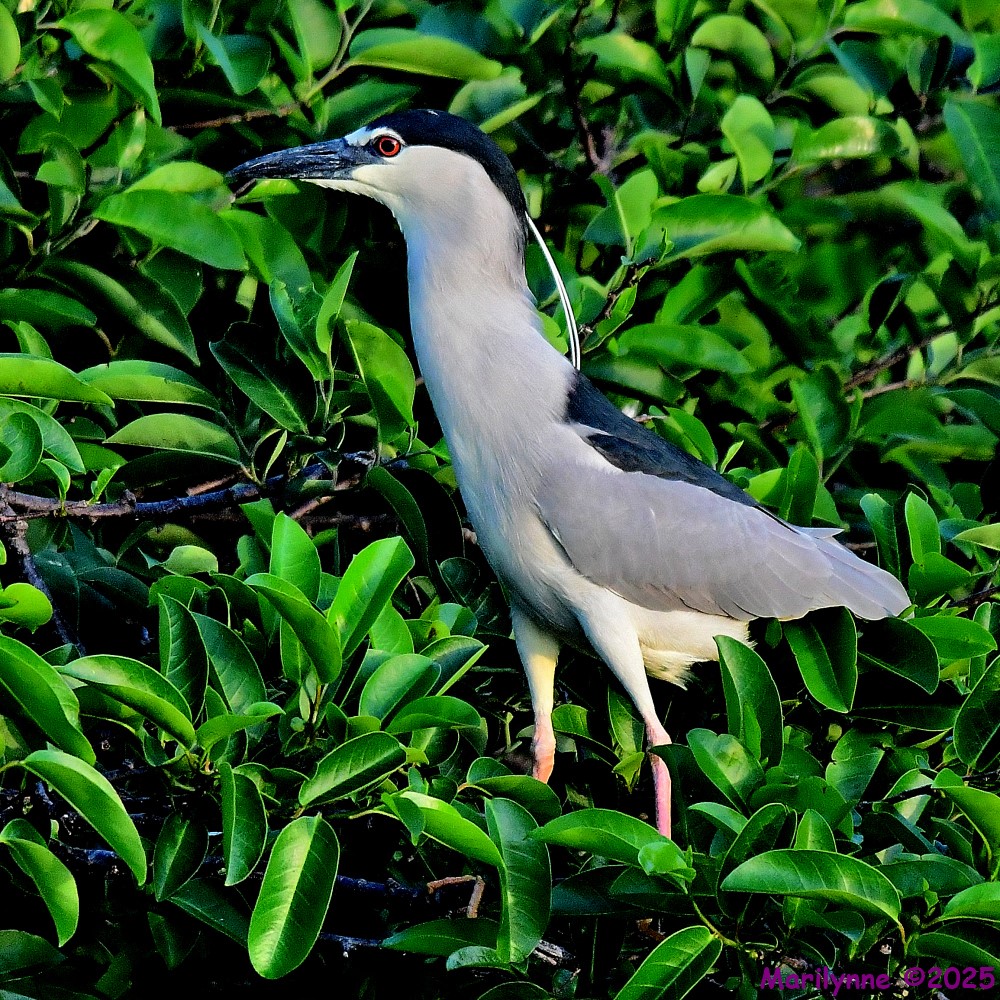 DSC_6329_001.JPG