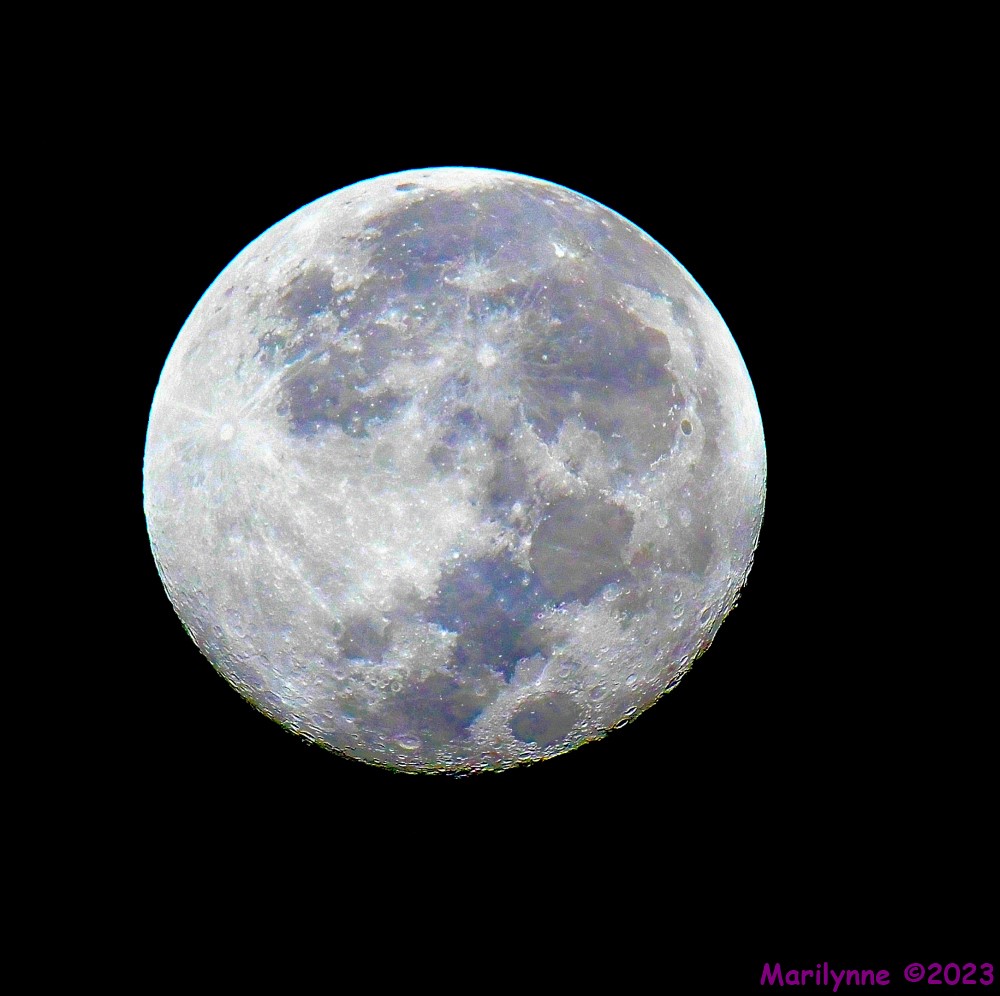 DSC_6335_001.JPG