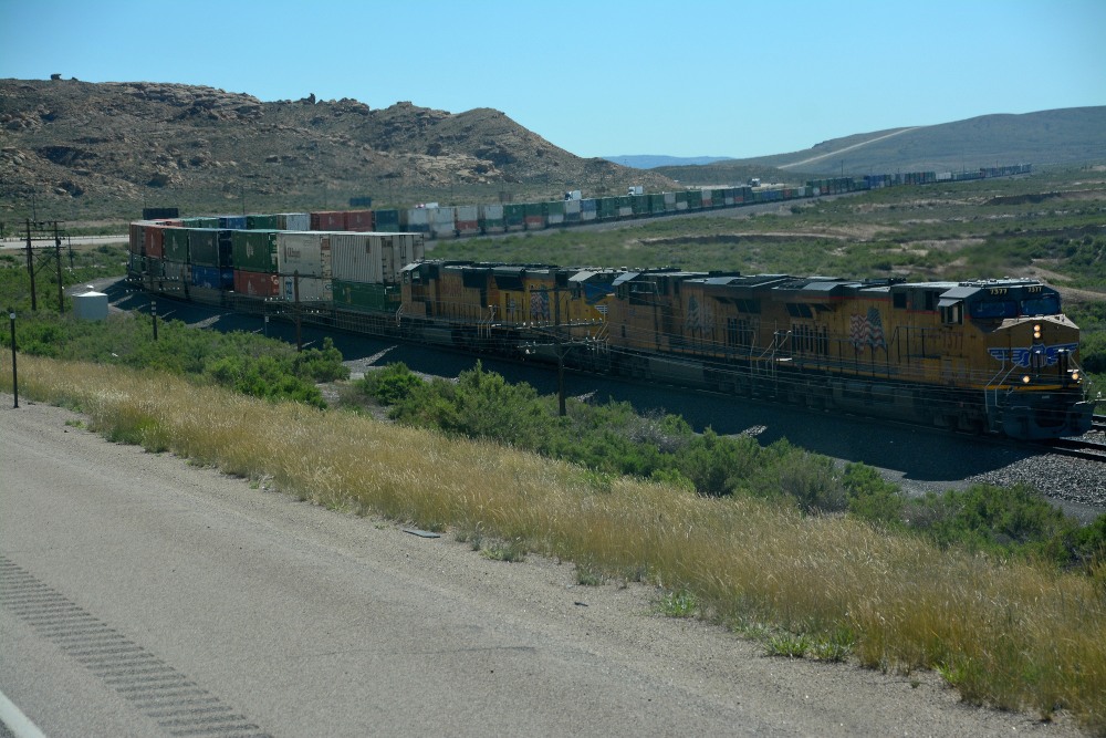 DSC_6337.JPG