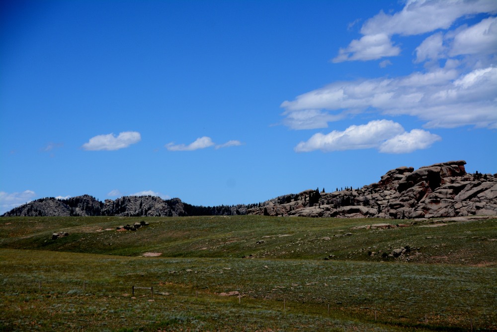 DSC_6338.JPG