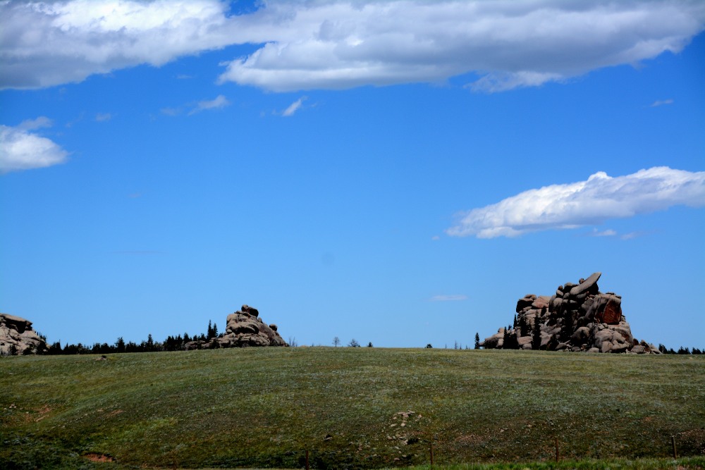 DSC_6339.JPG