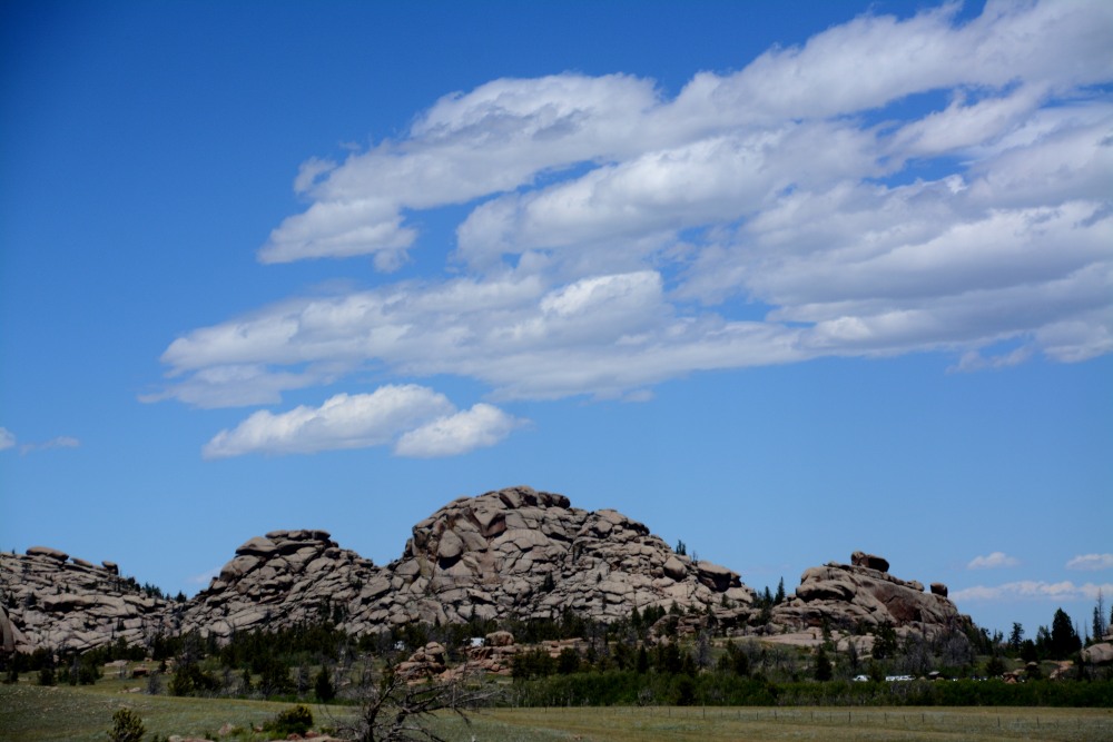 DSC_6340.JPG