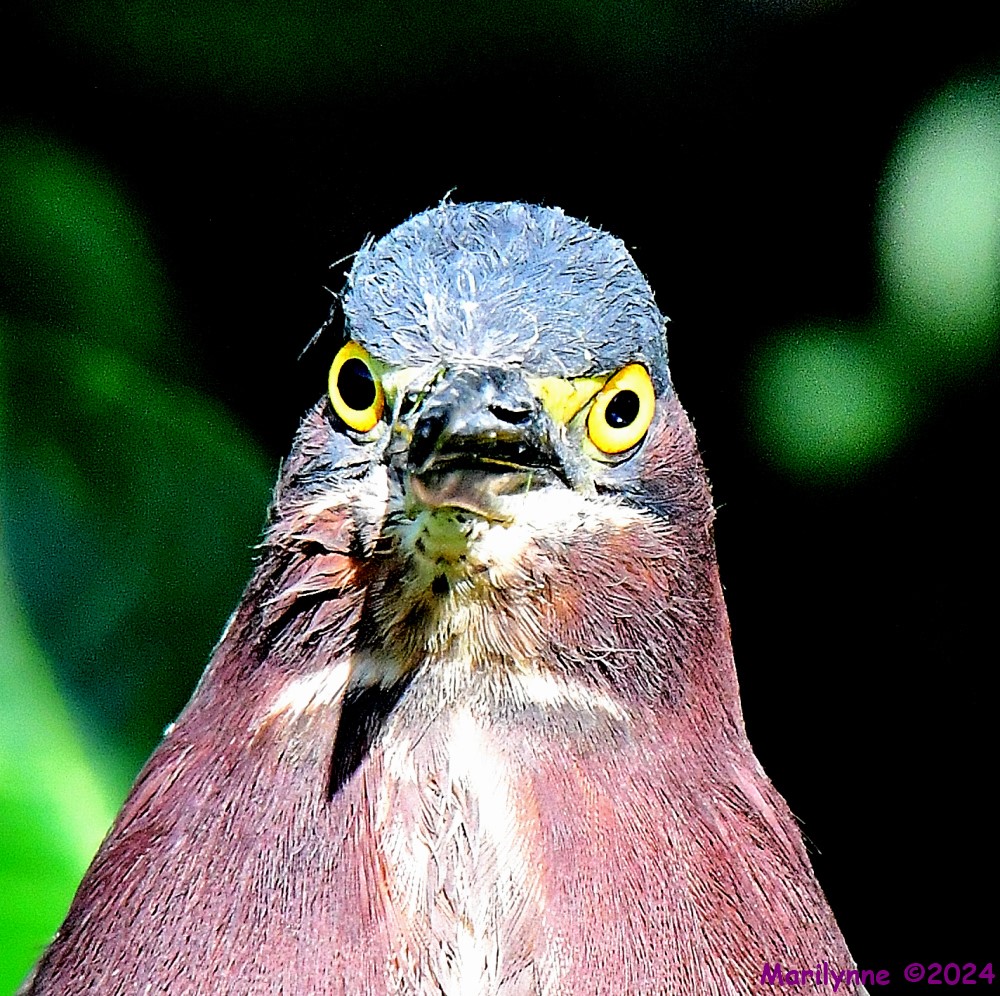DSC_6343_001.JPG