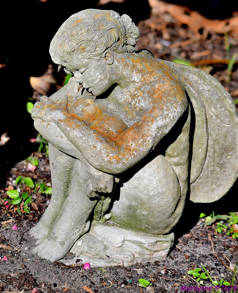 DSC_6345_001.JPG