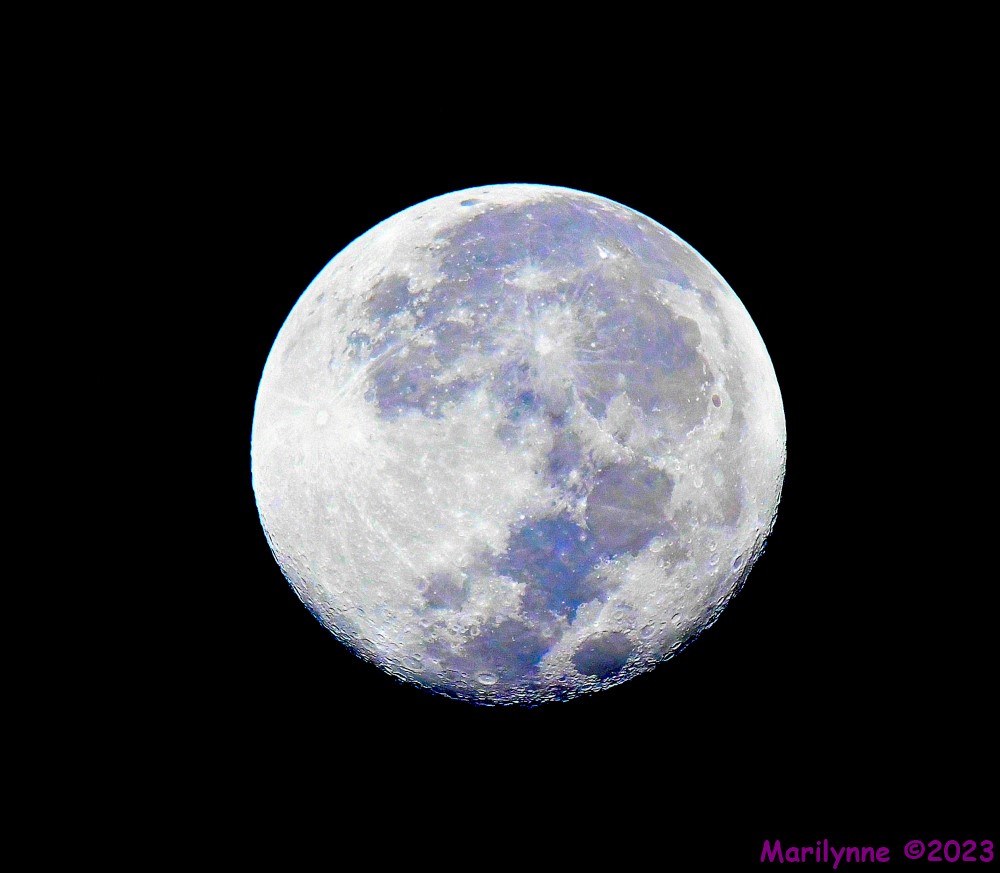 DSC_6346_001.JPG