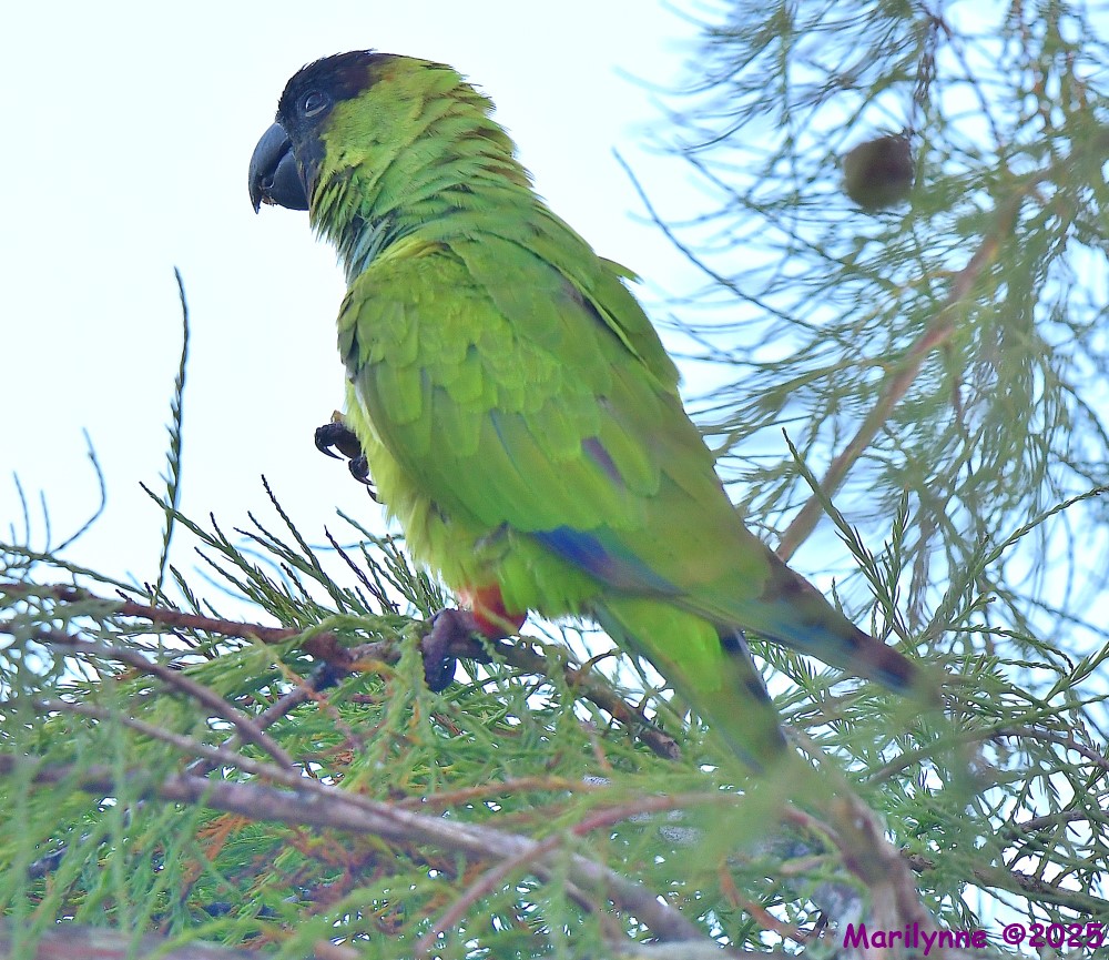 DSC_6348_001.JPG