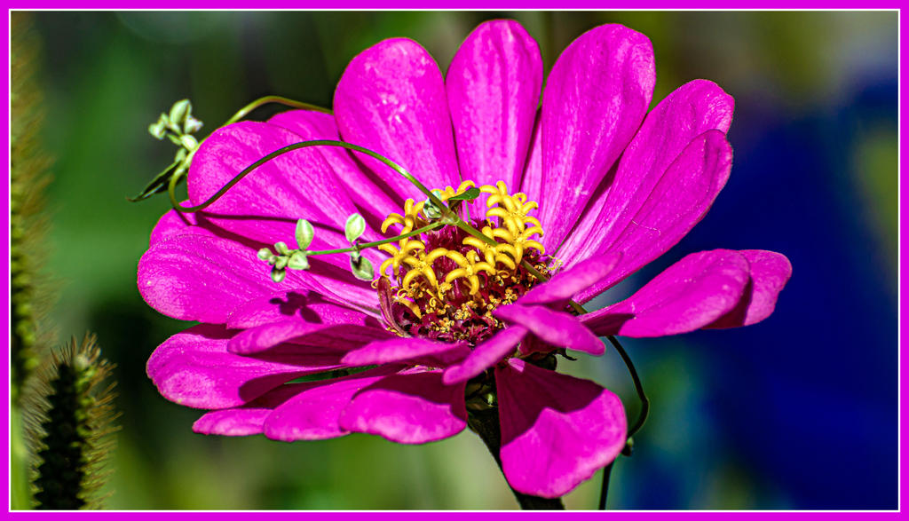 DSC_6350.jpg