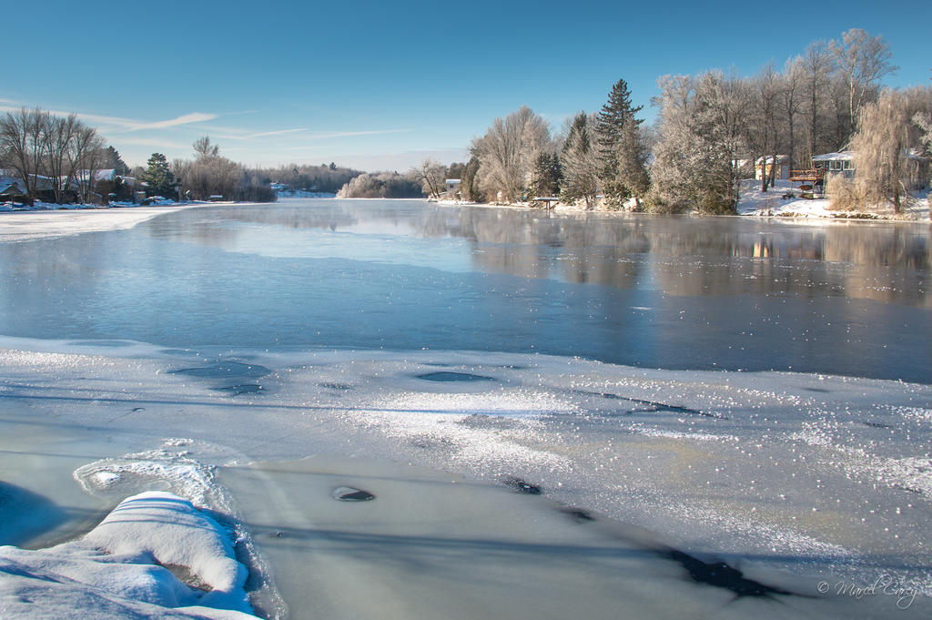 DSC_6351.jpg
