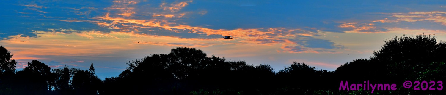 DSC_6357_stitch6_001.JPG
