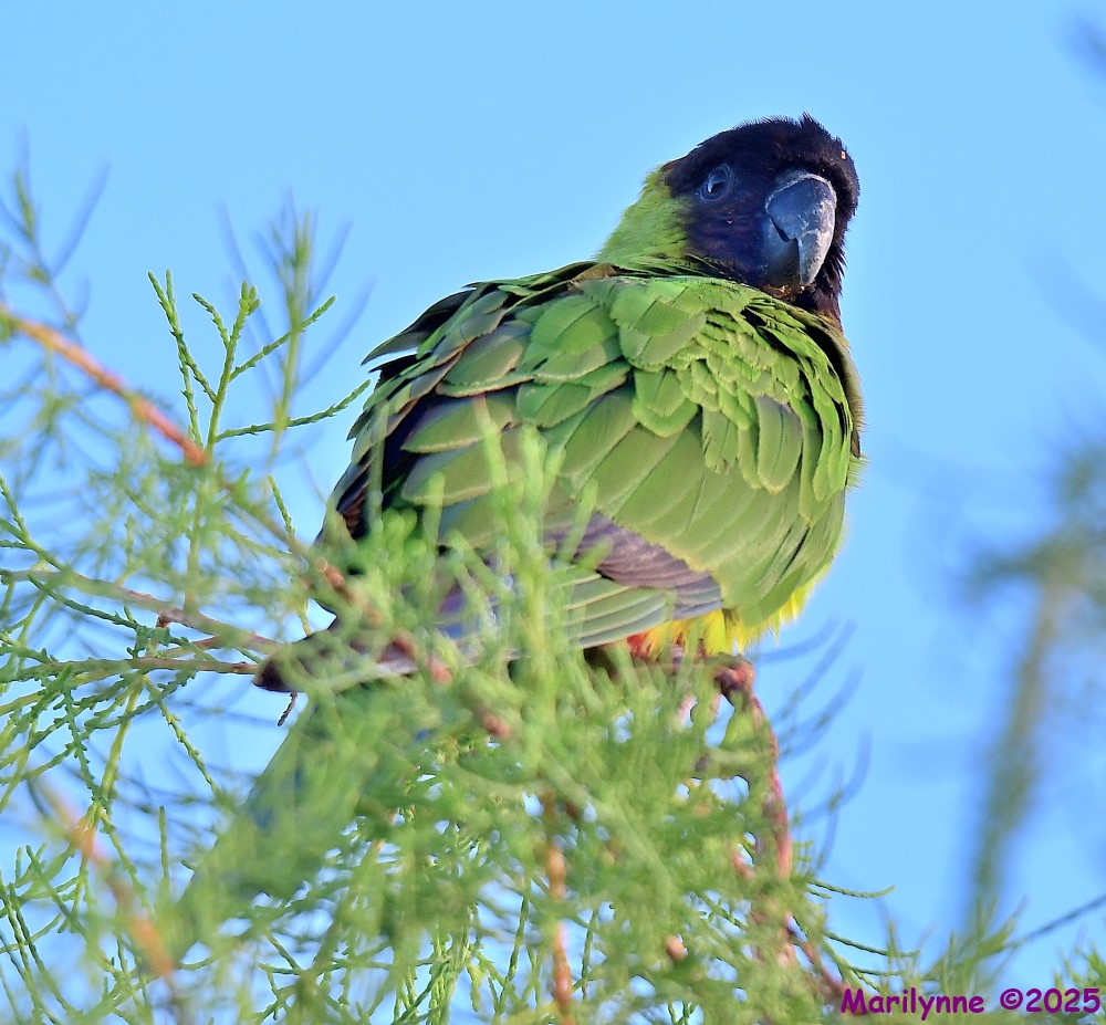 DSC_6358_001.JPG