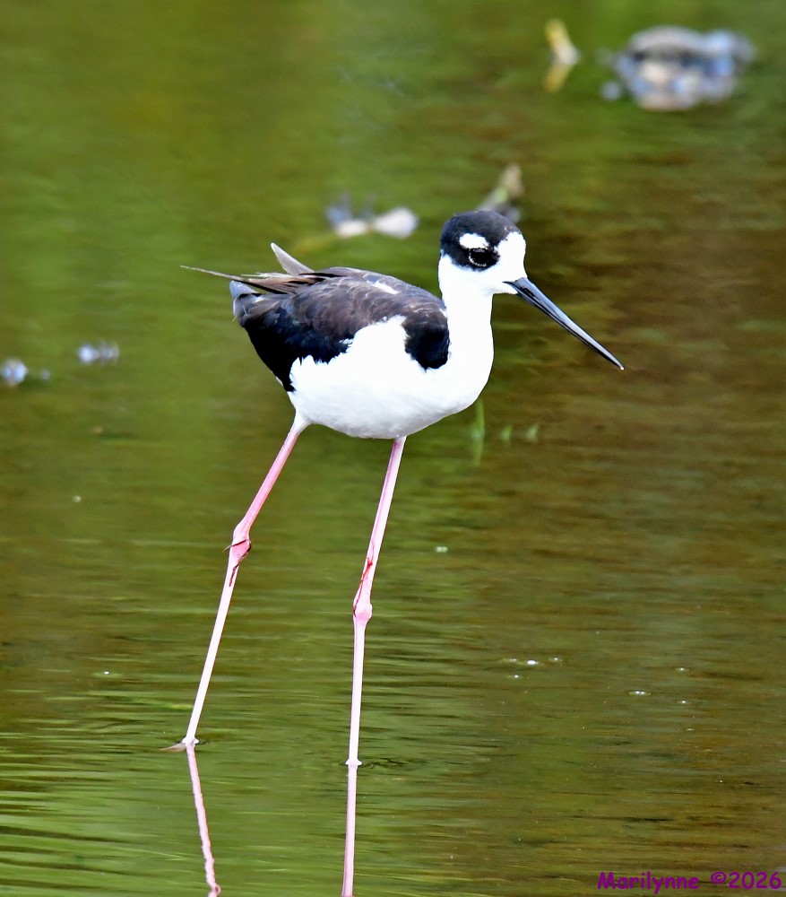 DSC_6358_001.JPG