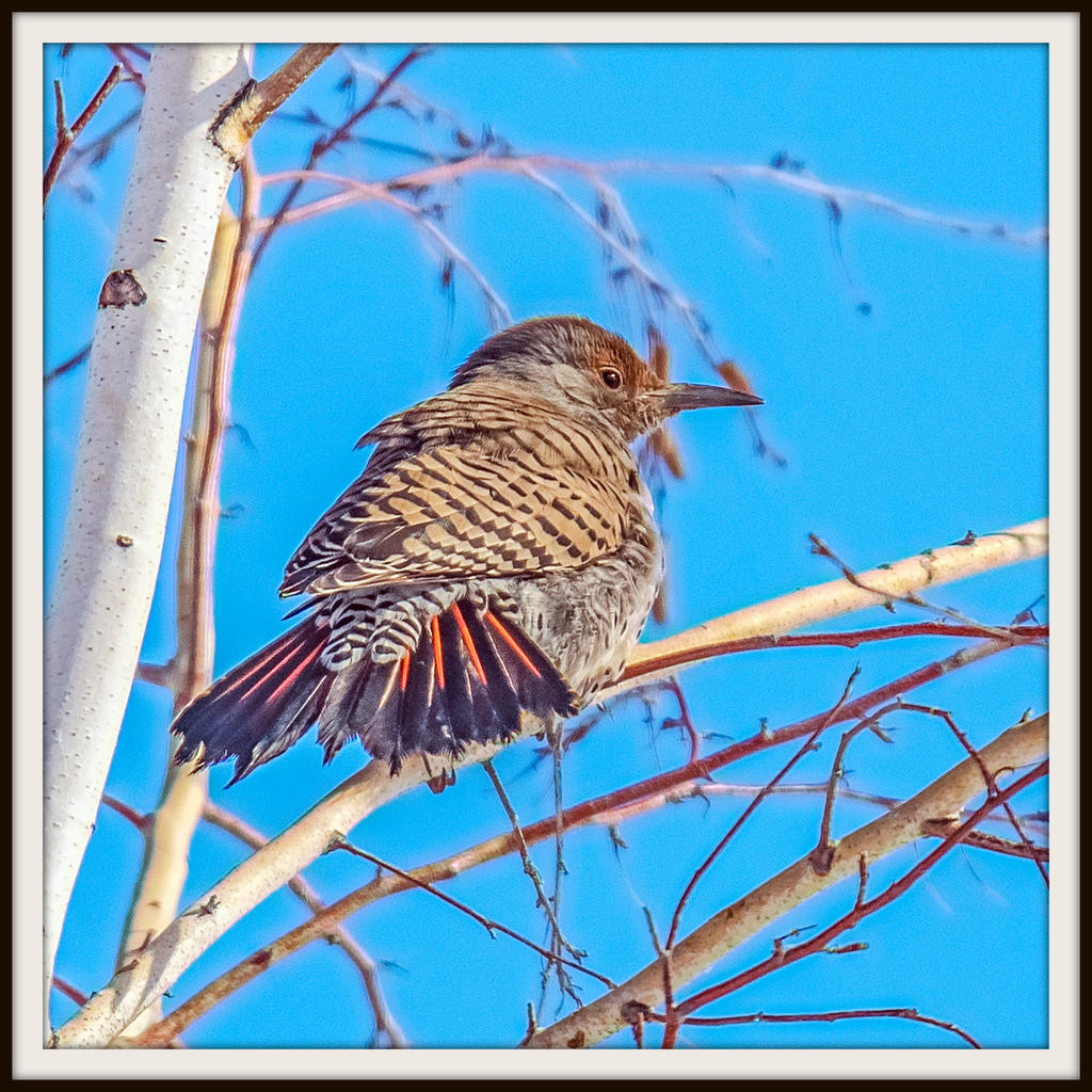 DSC_6359-Edit.jpg