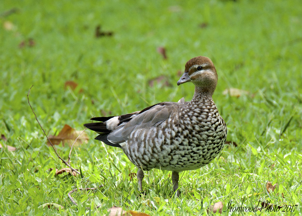 DSC_6359.jpg