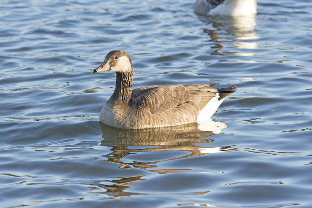 DSC_6365.jpg