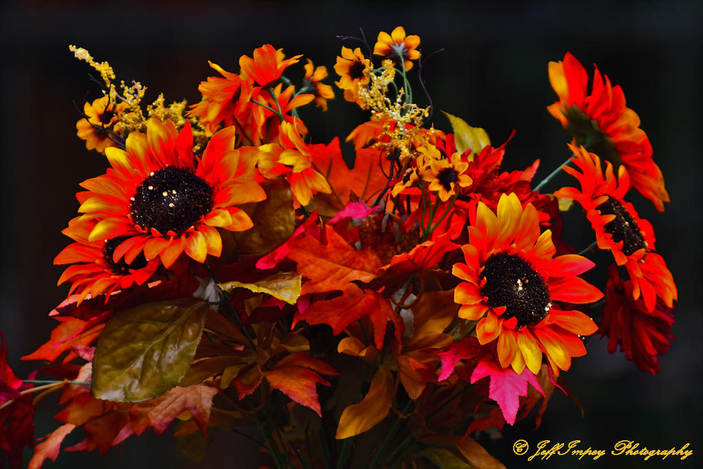 DSC_6366.jpg