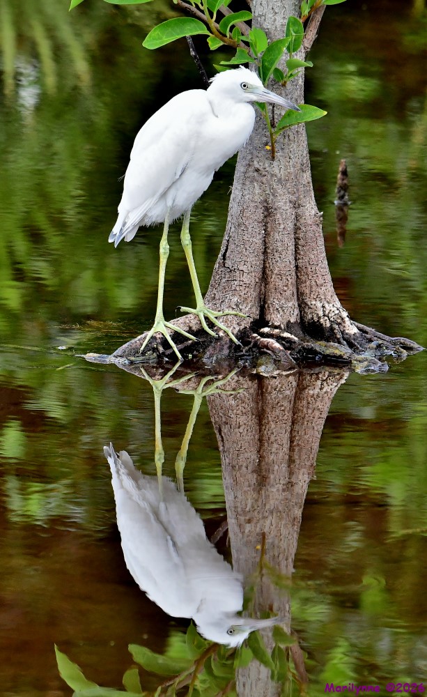 DSC_6366_001.JPG
