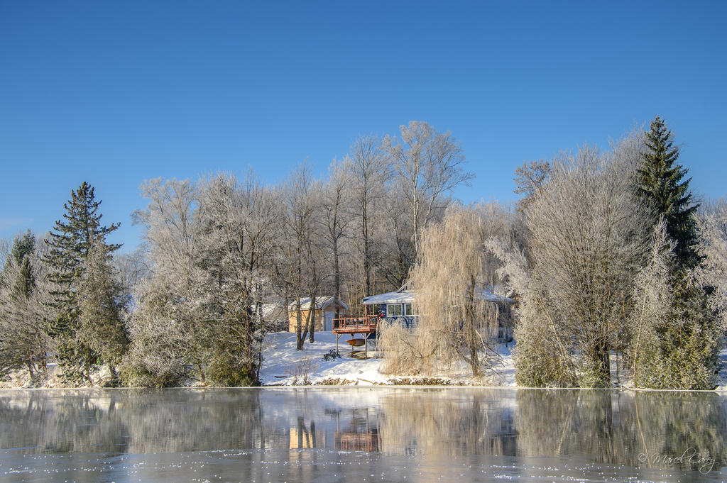 DSC_6371.jpg