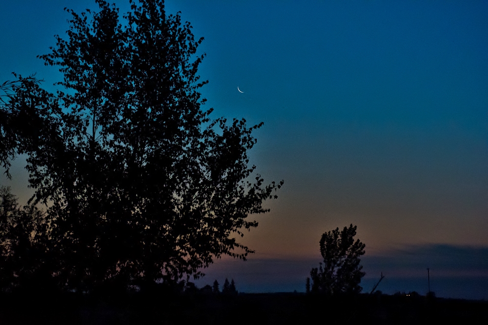 DSC_6380.jpg