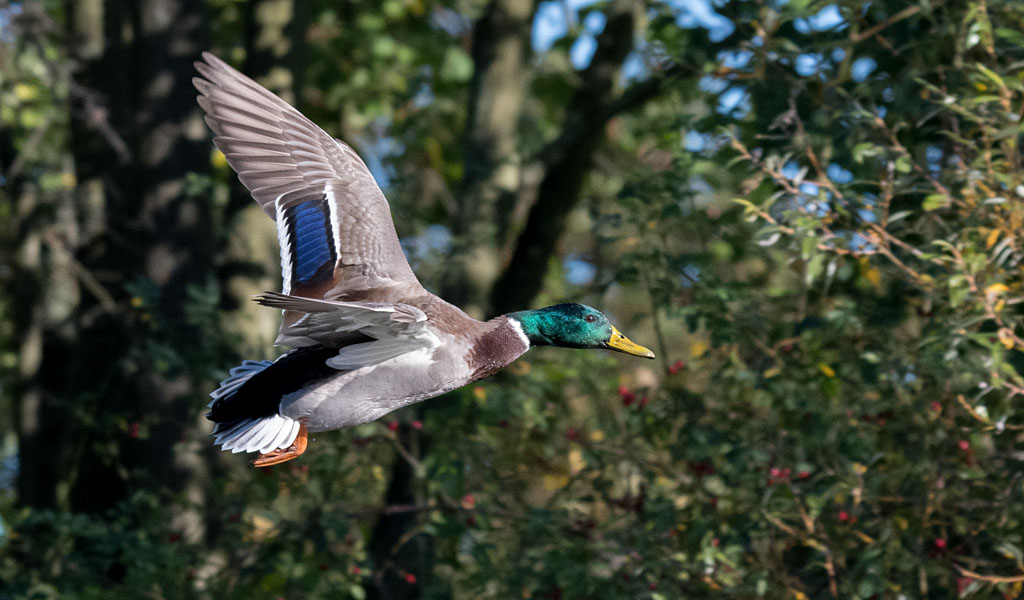 DSC_6380.jpg